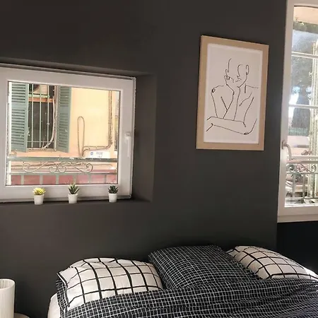 Daire Cosy En Plein Centre-ville Cannes